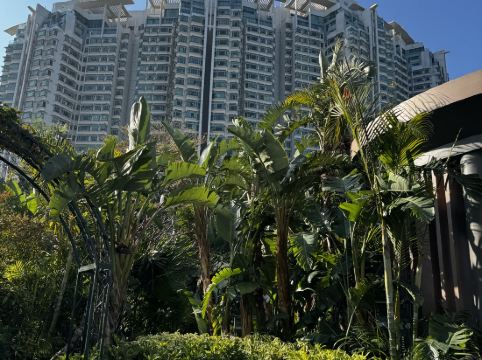 香港銀樾美憬閣精選酒店優惠