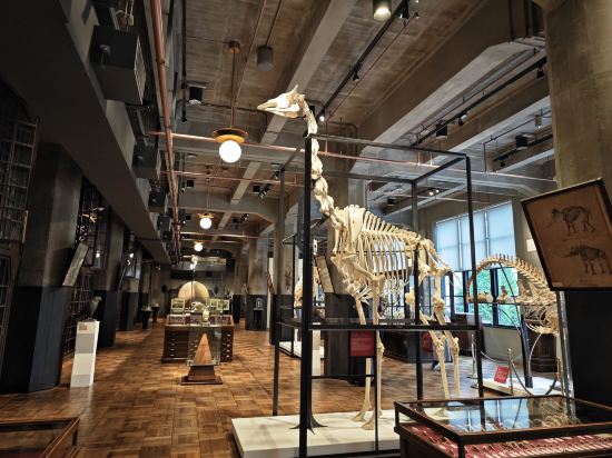 東急ステイ日本橋 クーポン