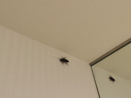 新宿ワシントンホテル 新館 クーポン