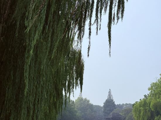 烏鎮堤上度假飯店優惠