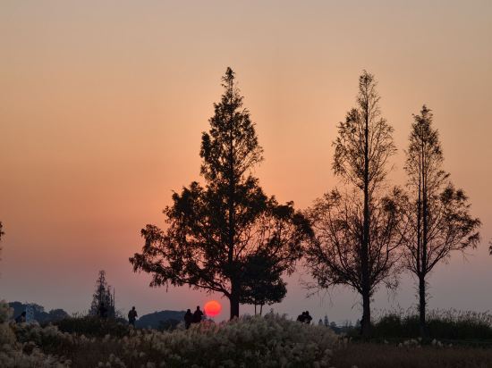 維也納國際飯店（杭州瓶窯良渚文化店）優惠