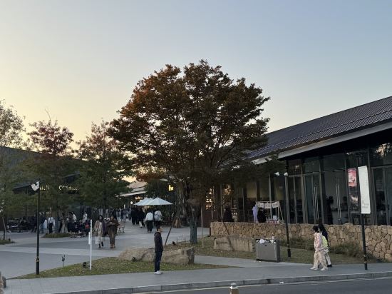 維也納國際飯店（杭州瓶窯良渚文化店）優惠