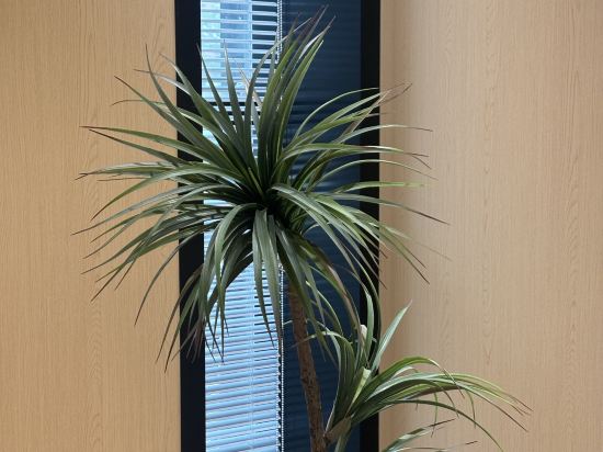 漫麗·影院酒店（海口日月廣場店）優惠