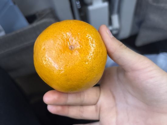 桔子酒店（上海外灘中山南路店）優惠