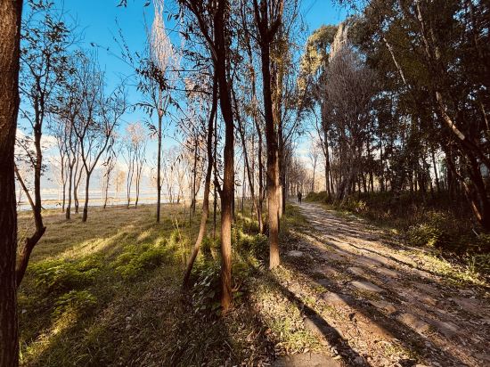 大理洱海龍灣假日飯店優惠