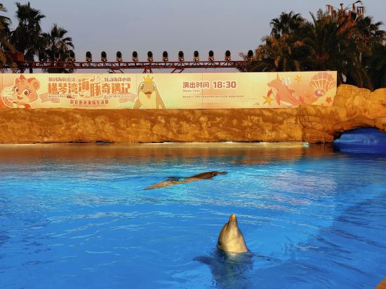 長隆橫琴灣酒店（珠海長隆旗艦店）優惠