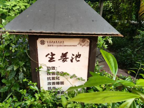 台山喜運來温泉大酒店優惠