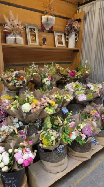 Hotel Europa, BW Signature Collection Photos