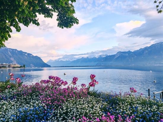 蒙特勒託斯卡納別墅酒店優惠