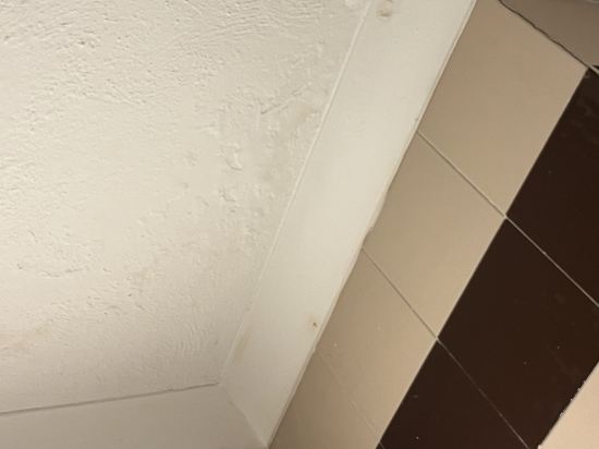 聖喬治公園酒店優惠