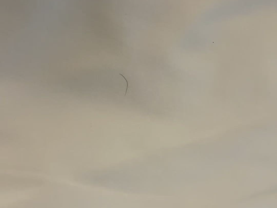 湛江樂芙·設計酒店優惠