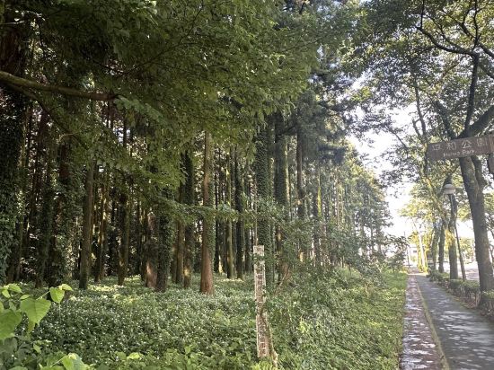 天然温泉　富士桜の湯　ドーミーインEXPRESS御殿場 クーポン