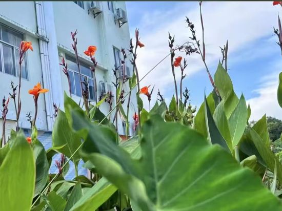 閲瀾灣濱海度假酒店（較場尾店）優惠