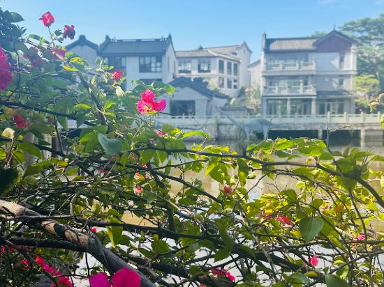 河源客天下.漣岸.禧悦莊温泉美宿優惠