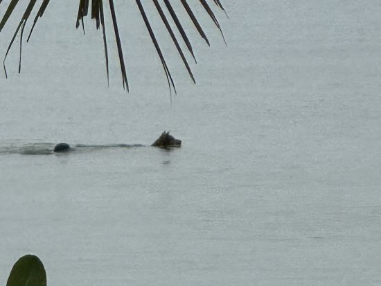 富國島翡翠灣JW萬豪度假酒店優惠