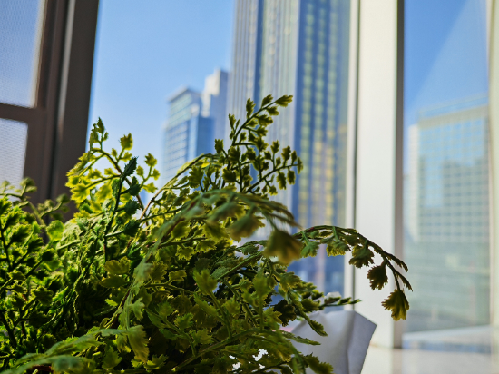 宜尚PLUS飯店（杭州濱江星光大道店）優惠