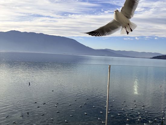 大理聽花島海景花園美宿優惠