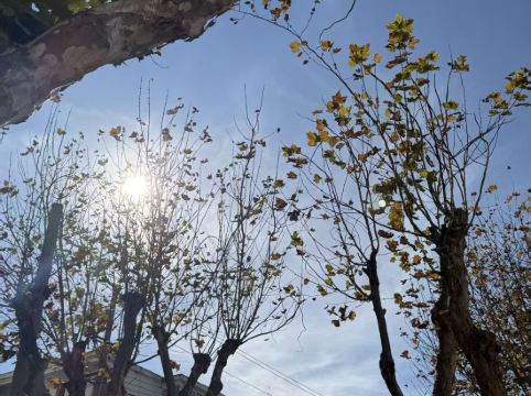 大理實力希爾頓酒店優惠