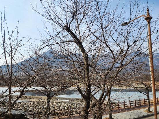 Mungyeong Myeongpum Hotel Geonilla 쿠폰