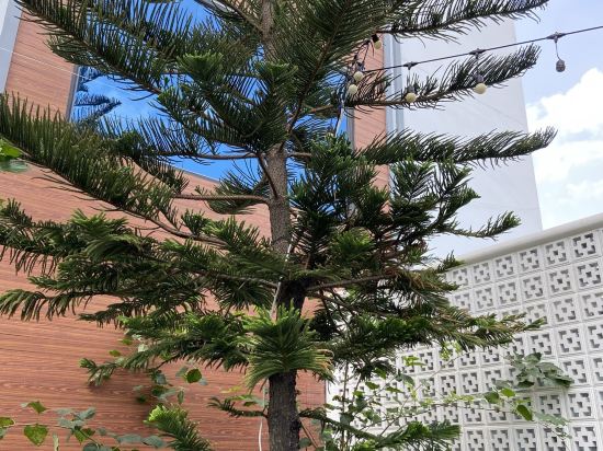 黃金仲天海灘酒店 （SHA Extra Plus）優惠