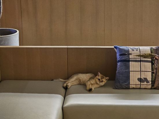 念念行旅飯店（北京南鑼鼓巷北新橋地鐵站店）優惠