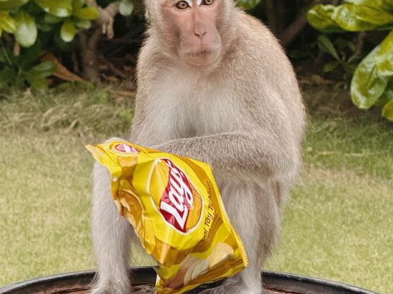 富國島尊享度假飯店，雅高旗下飯店優惠