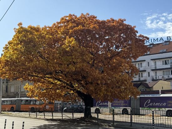索非亞廣場酒店優惠