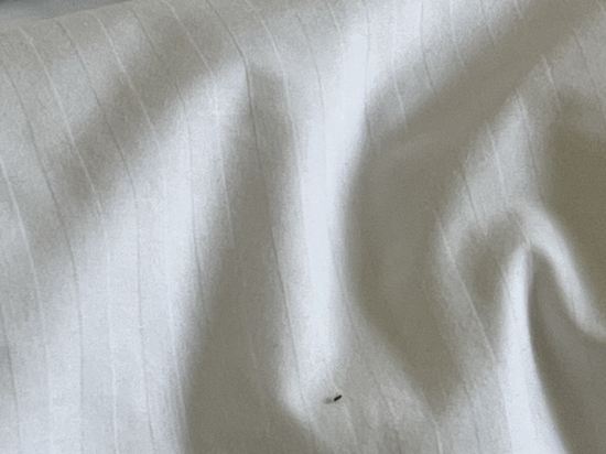 錦江之星風尚（中山石岐大信新都滙店）優惠