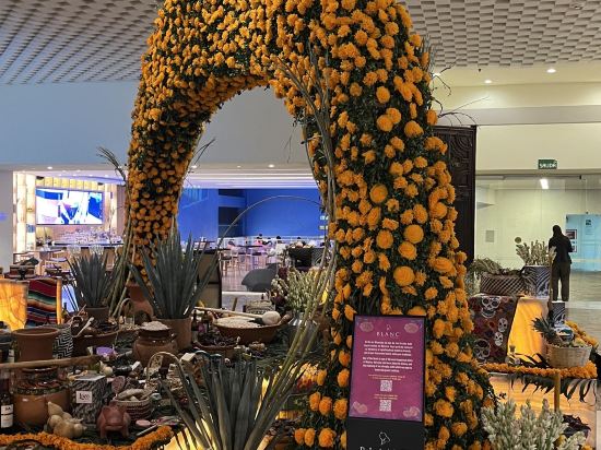 卡米奧真實酒店優惠