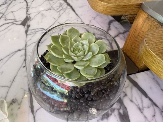 深圳同泰萬怡酒店優惠