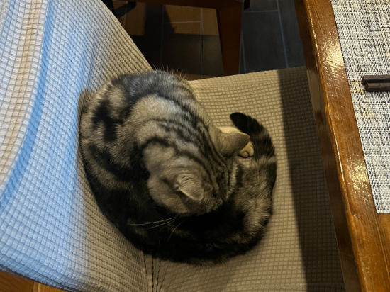 玉龍善哉善哉精緻客棧優惠