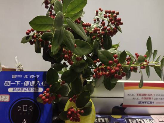 西湖竹澗憶塘民宿優惠