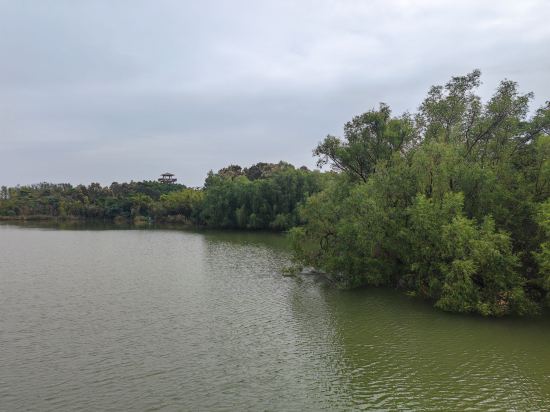 廣州南沙花園酒店優惠