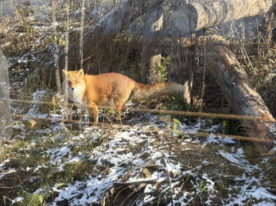 ホテルアマネク旭川　展望浴場「四季の湯」 クーポン