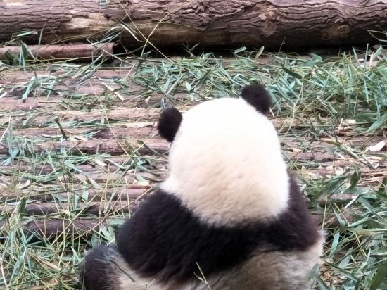 成都盛捷江畔服務公寓優惠