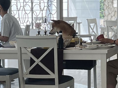 Wan's Resort 城ヶ崎海岸 クーポン