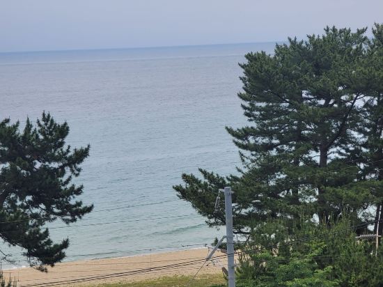 Dawoo Resortel 쿠폰