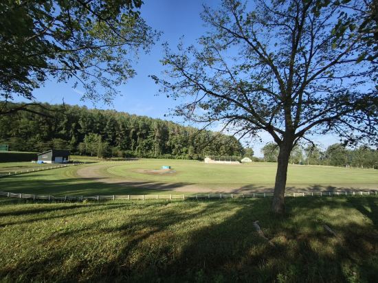 青の洞窟温泉 ピパの湯 ゆ～りん館 クーポン