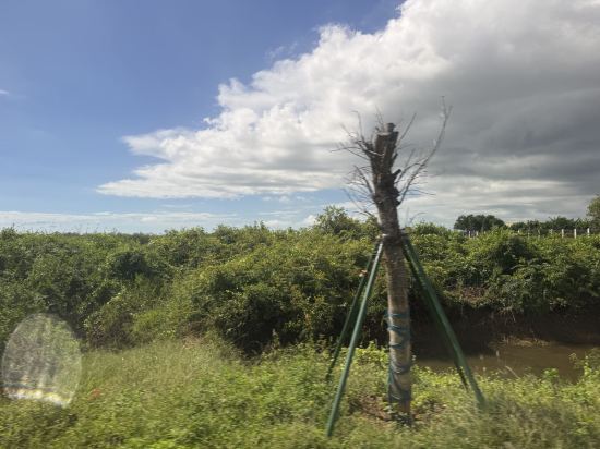 湛江明粵公寓優惠