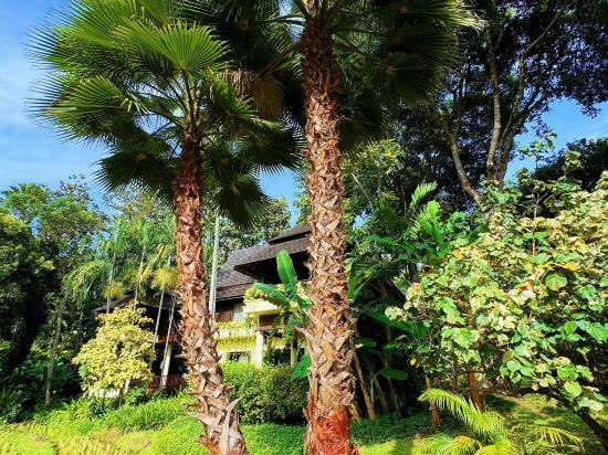 清邁四季度假酒店優惠