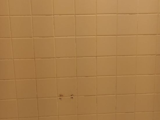 奧蘭多環球影城正門假日酒店優惠