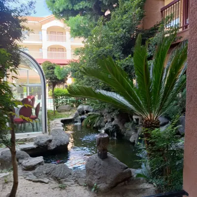 Park suites Hotel Photos