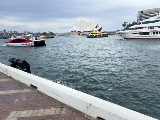 喬治背包族790飯店優惠