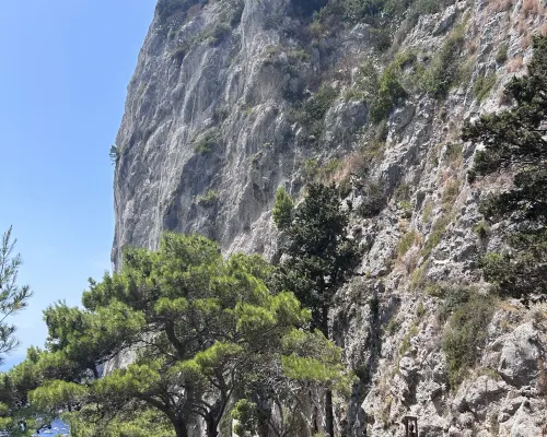 Villa la Pergola Capri Dekat Hotel Photos