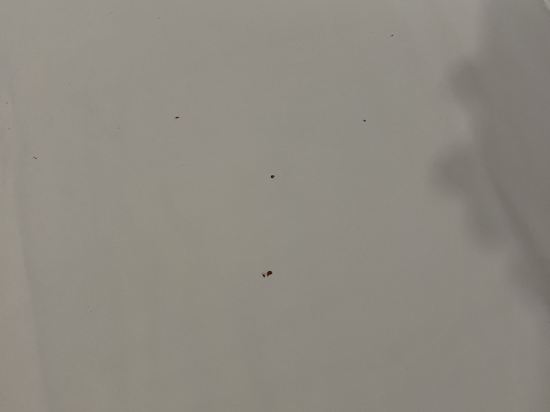 博斯科維克精品酒店優惠