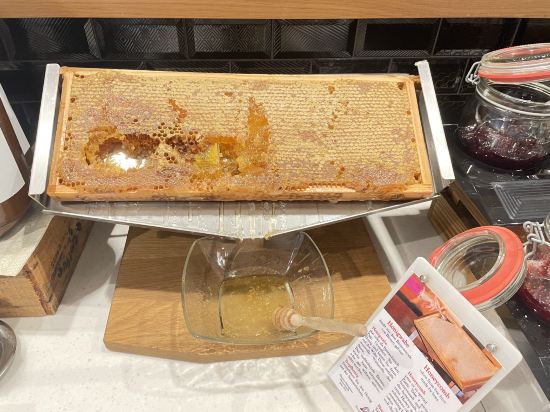 凱瑟霍夫城中心美居酒店優惠