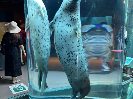 ホテルルートインGrand旭川駅前 クーポン