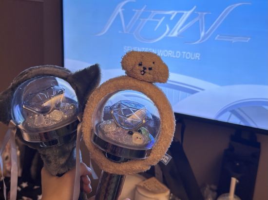 如家酒店·neo（深圳羅湖口岸國貿地鐵站店）優惠