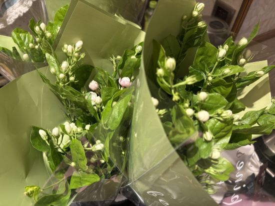 湛江明粵公寓優惠