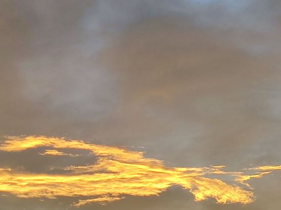 鮪魚家族飯店-台東館優惠